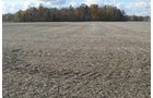 Property photo 12 - 75.3 Acres Offered in 2 Tracts